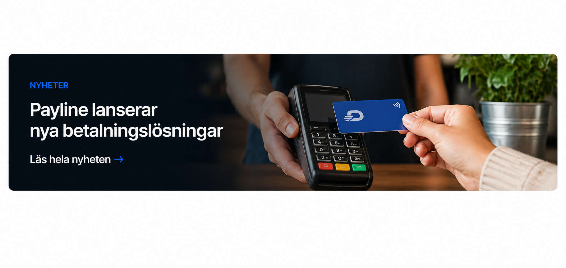 Payline lanserar nya betalningslösningar